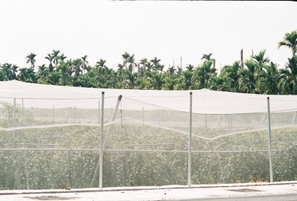 Wired Net House structure